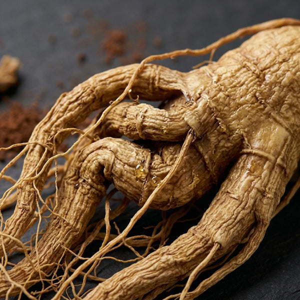 Ginseng Kökü Özü